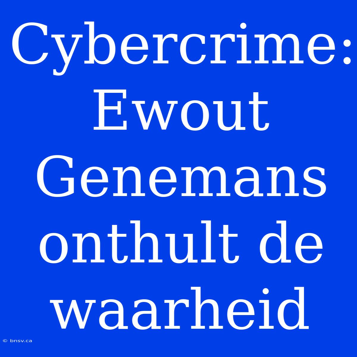 Cybercrime: Ewout Genemans Onthult De Waarheid