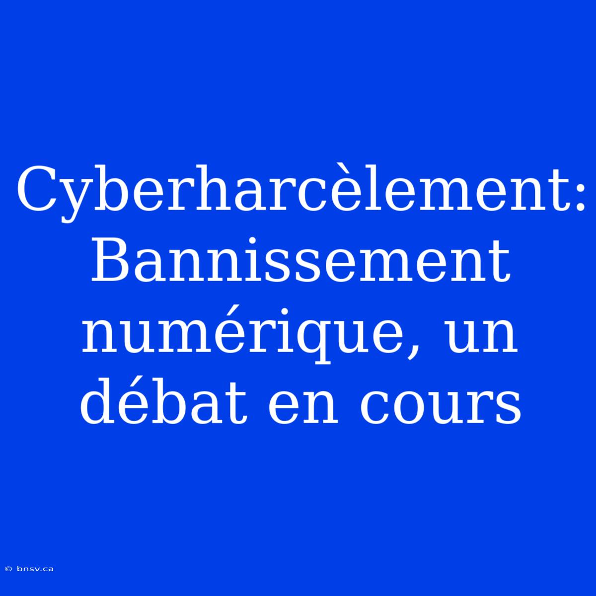 Cyberharcèlement: Bannissement Numérique, Un Débat En Cours