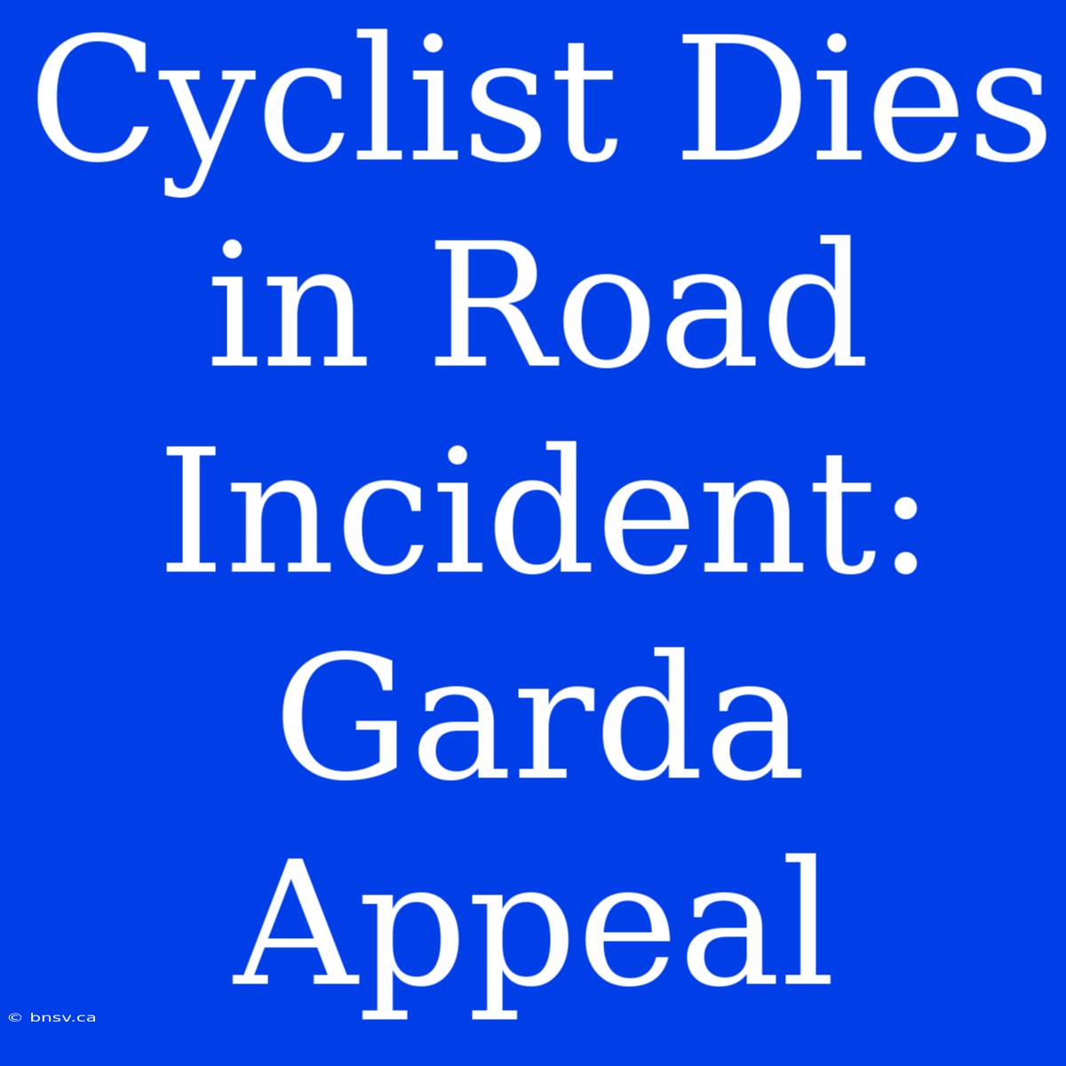 Cyclist Dies In Road Incident: Garda Appeal