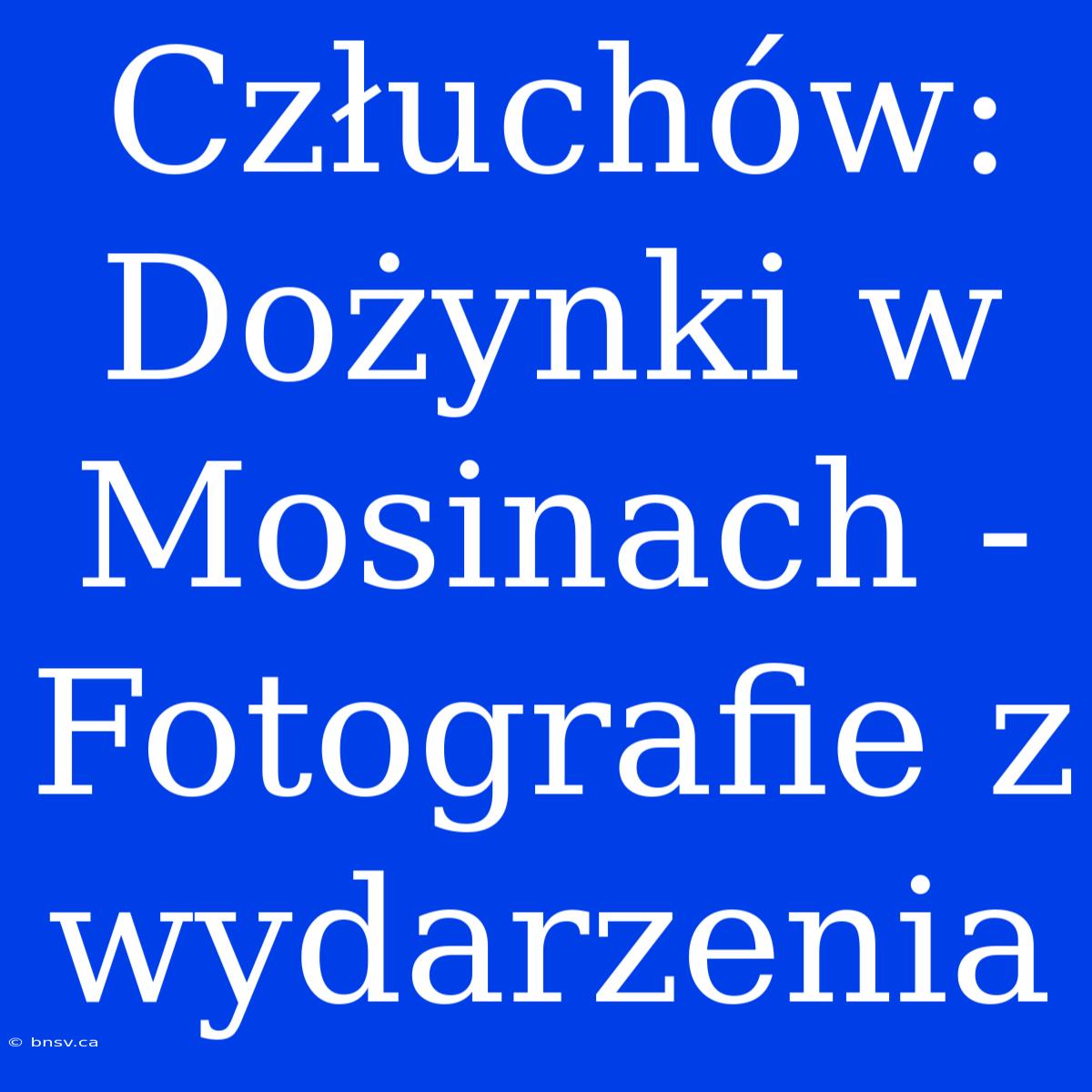 Człuchów: Dożynki W Mosinach - Fotografie Z Wydarzenia