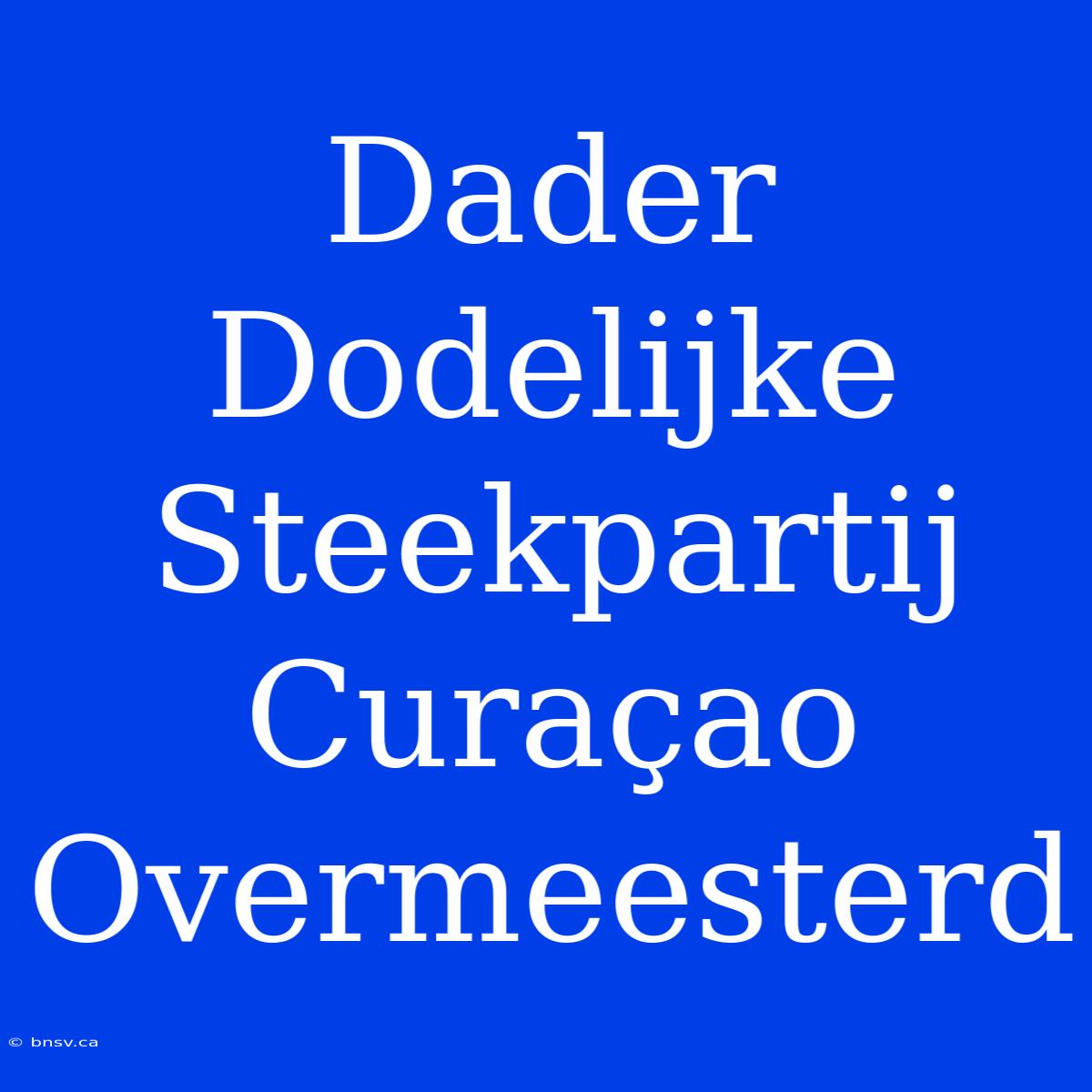 Dader Dodelijke Steekpartij Curaçao Overmeesterd