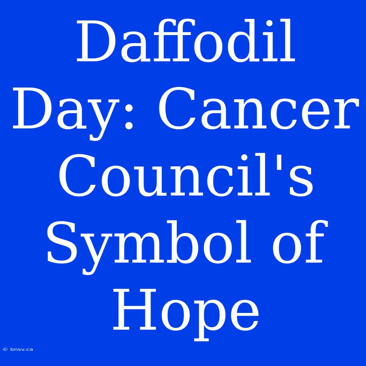 Daffodil Day: Cancer Council's Symbol Of Hope