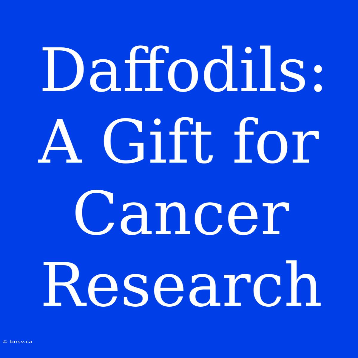 Daffodils: A Gift For Cancer Research