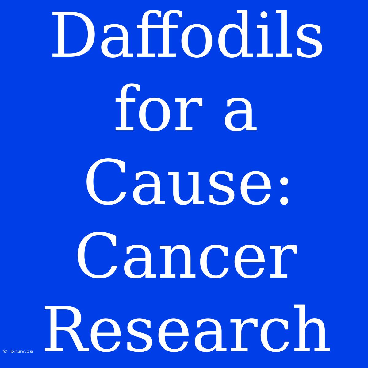 Daffodils For A Cause: Cancer Research