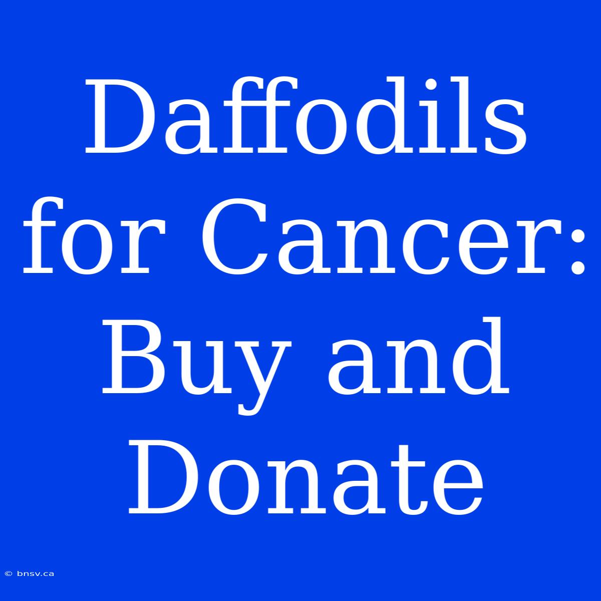 Daffodils For Cancer: Buy And Donate