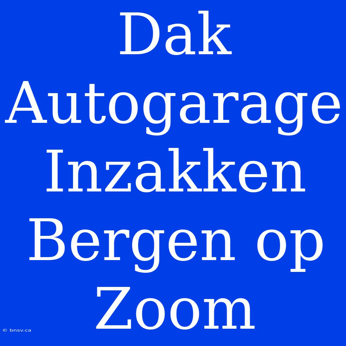 Dak Autogarage Inzakken Bergen Op Zoom