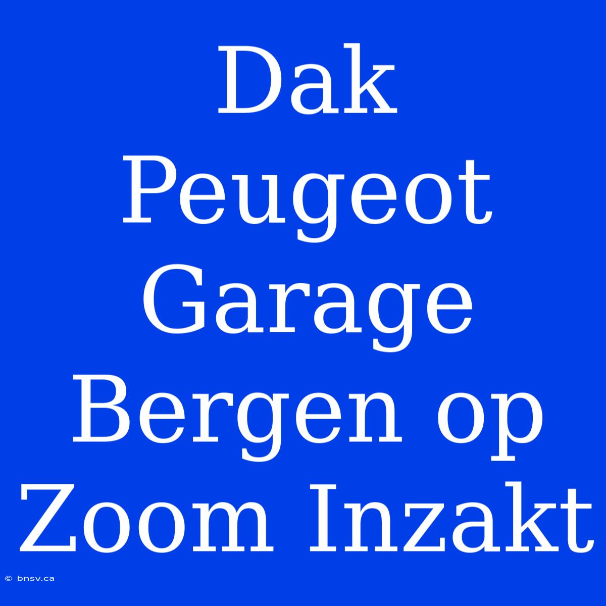 Dak Peugeot Garage Bergen Op Zoom Inzakt