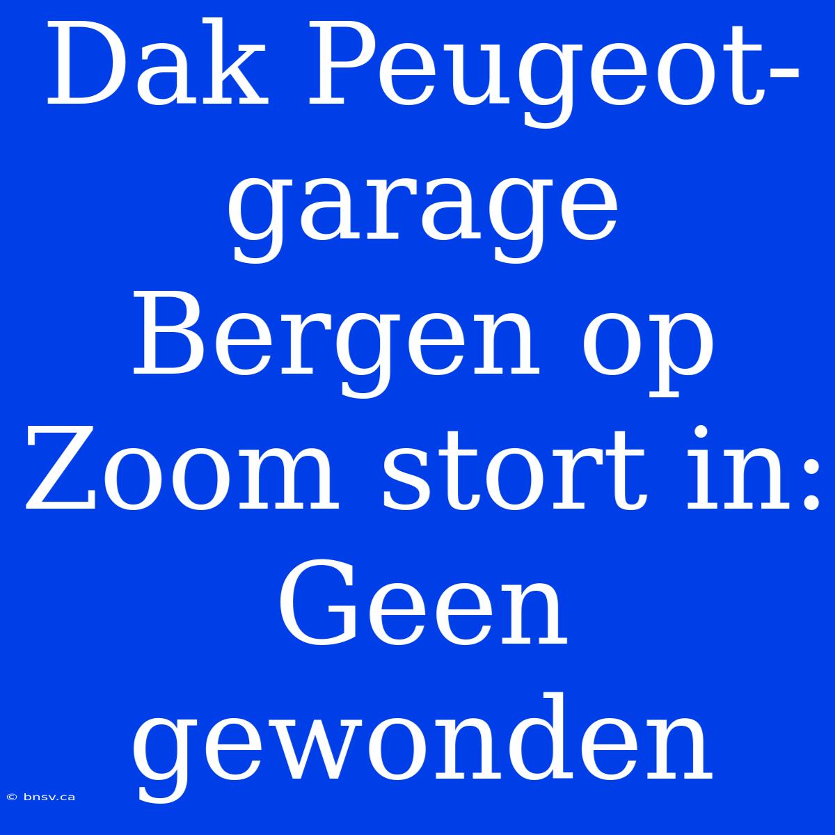 Dak Peugeot-garage Bergen Op Zoom Stort In: Geen Gewonden