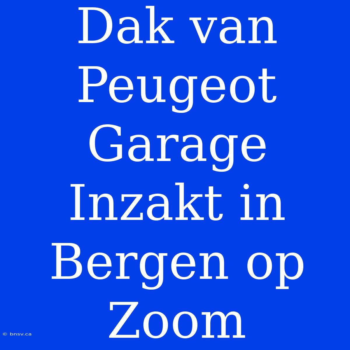 Dak Van Peugeot Garage Inzakt In Bergen Op Zoom