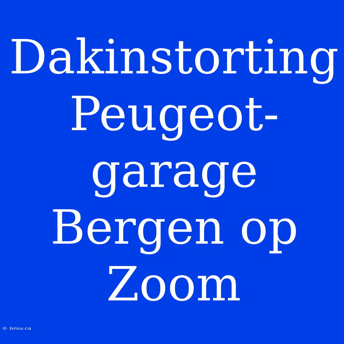 Dakinstorting Peugeot-garage Bergen Op Zoom