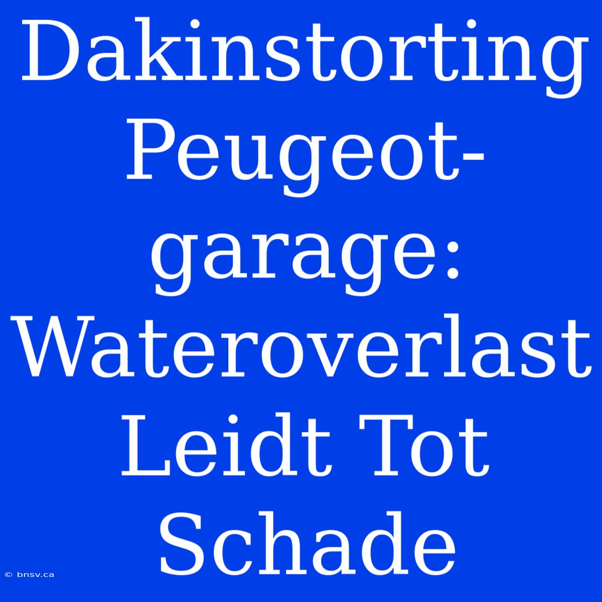 Dakinstorting Peugeot-garage: Wateroverlast Leidt Tot Schade