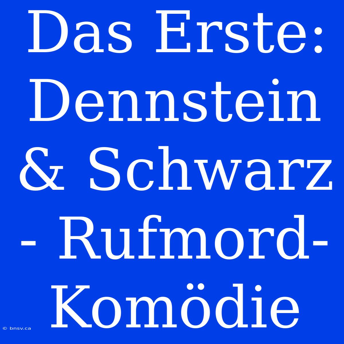 Das Erste: Dennstein & Schwarz - Rufmord-Komödie