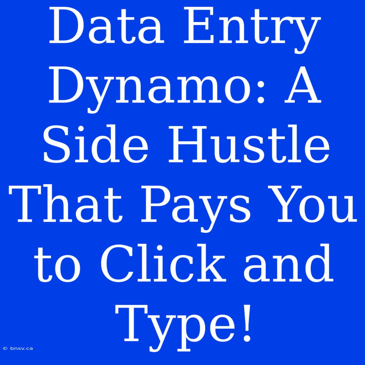 Data Entry Dynamo: A Side Hustle That Pays You To Click And Type!