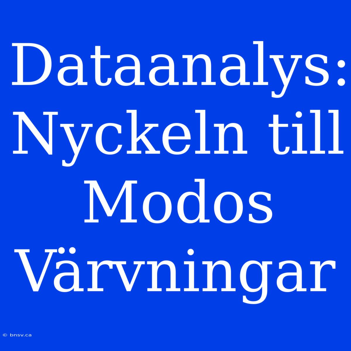 Dataanalys: Nyckeln Till Modos Värvningar