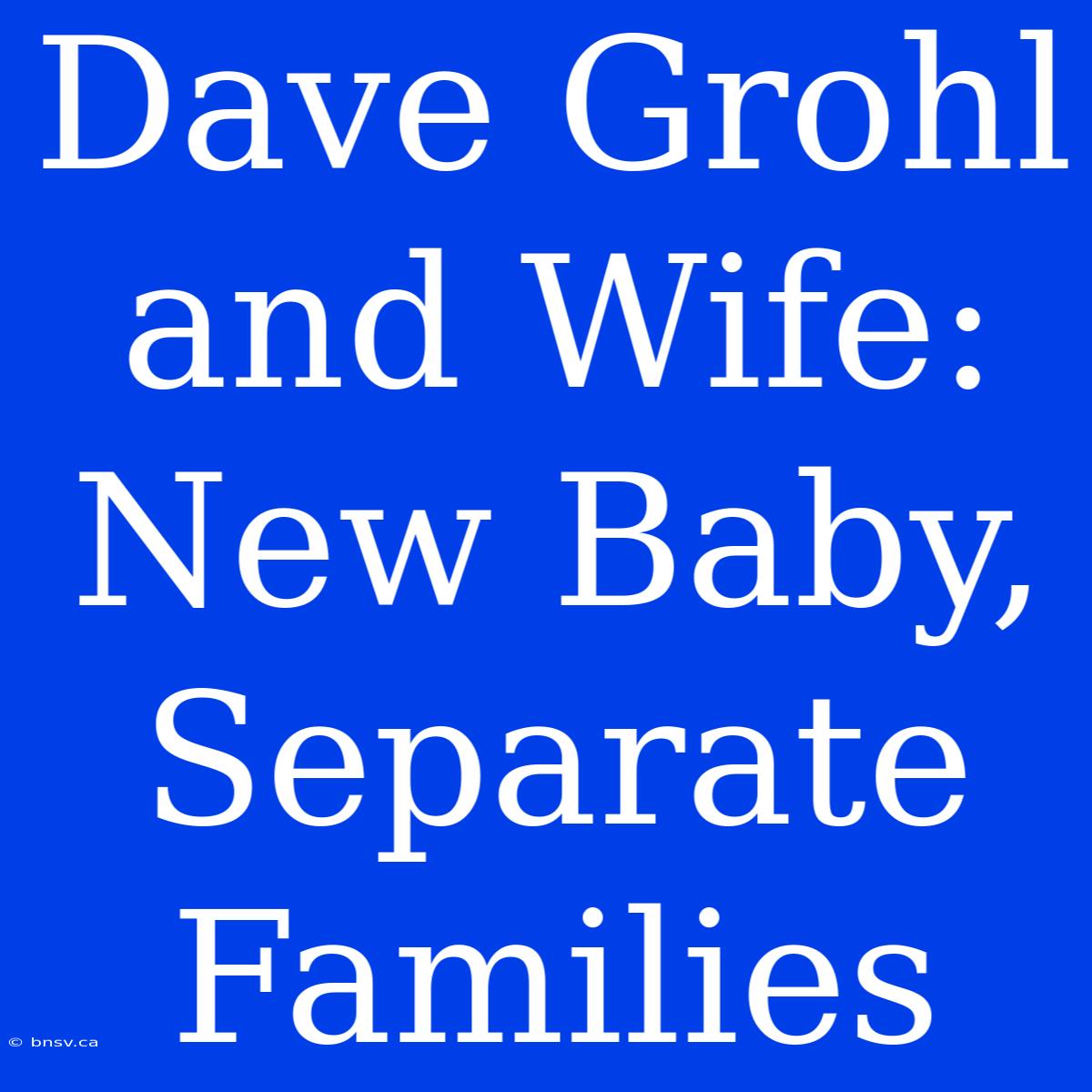 Dave Grohl And Wife: New Baby, Separate Families