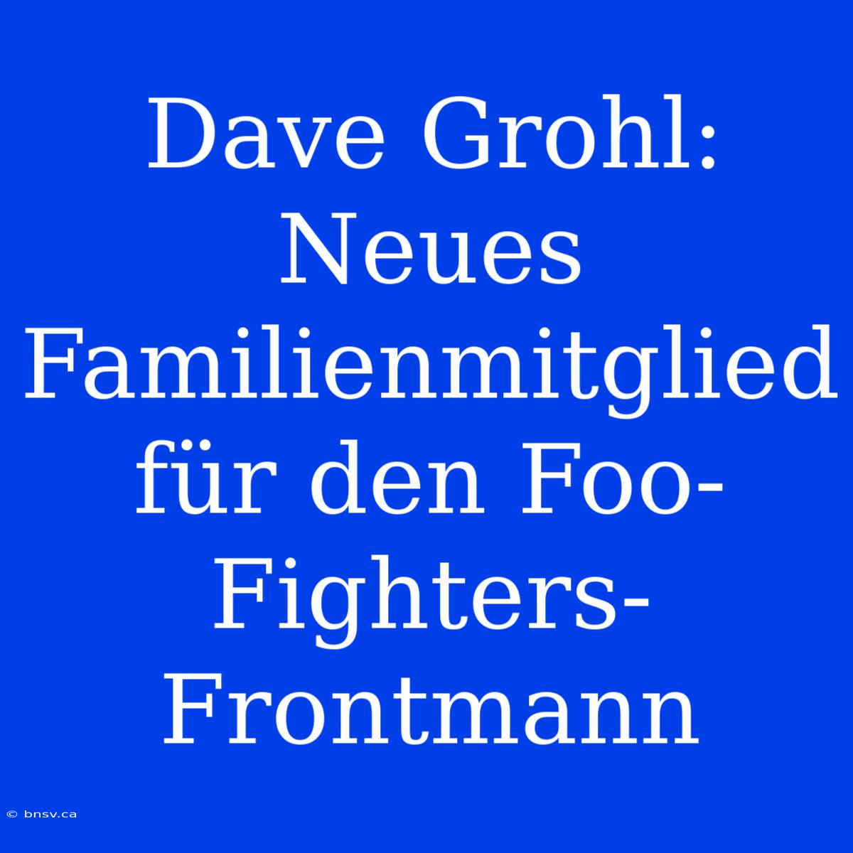 Dave Grohl: Neues Familienmitglied Für Den Foo-Fighters-Frontmann