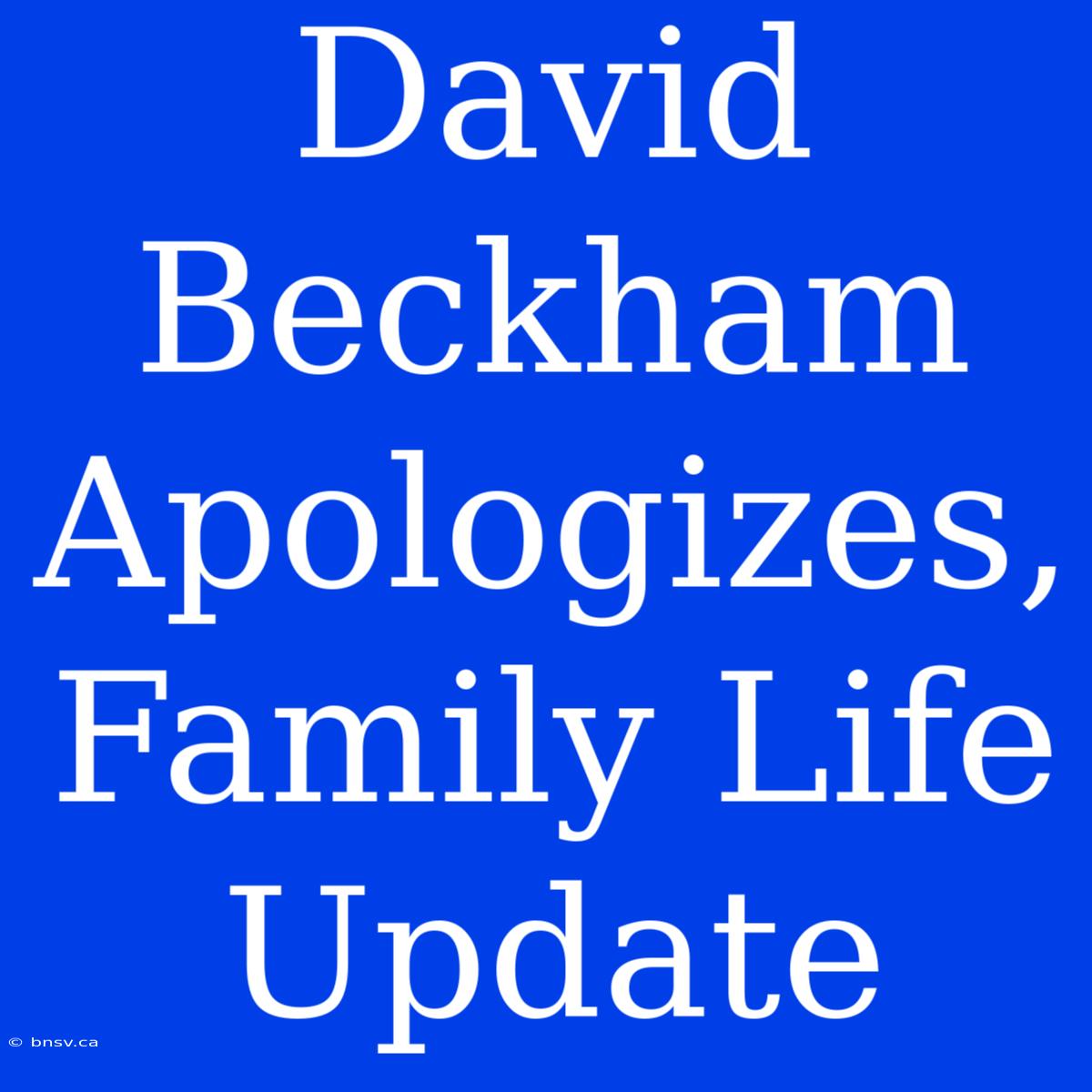 David Beckham Apologizes, Family Life Update