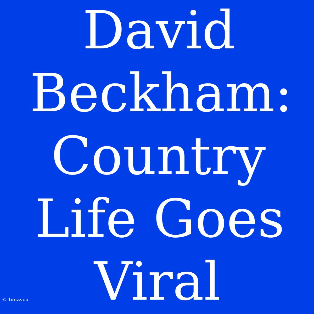 David Beckham:  Country Life Goes Viral