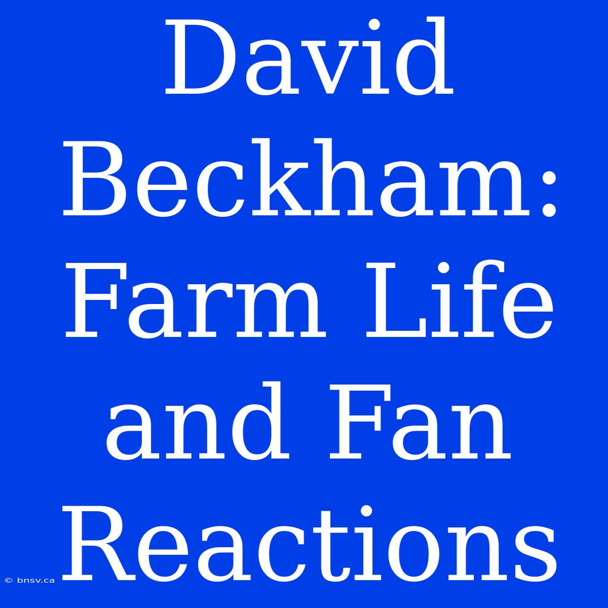 David Beckham: Farm Life And Fan Reactions