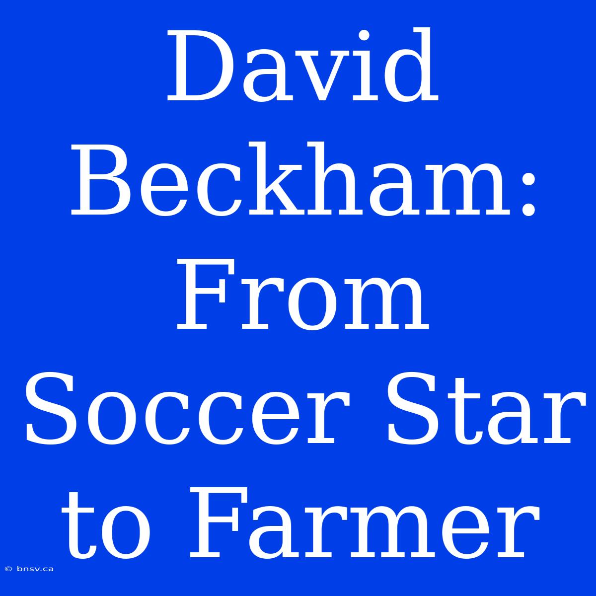 David Beckham: From Soccer Star To Farmer