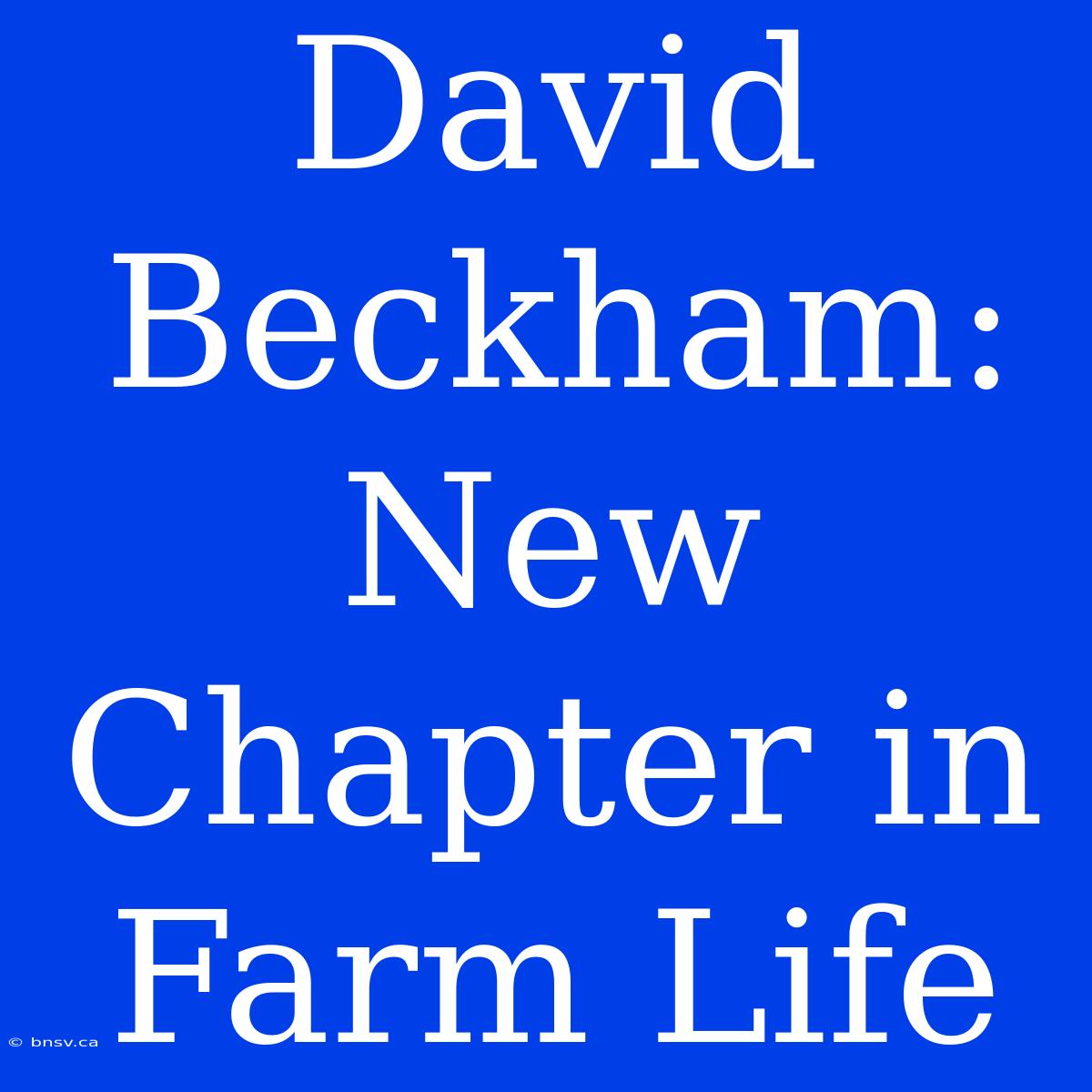 David Beckham: New Chapter In Farm Life