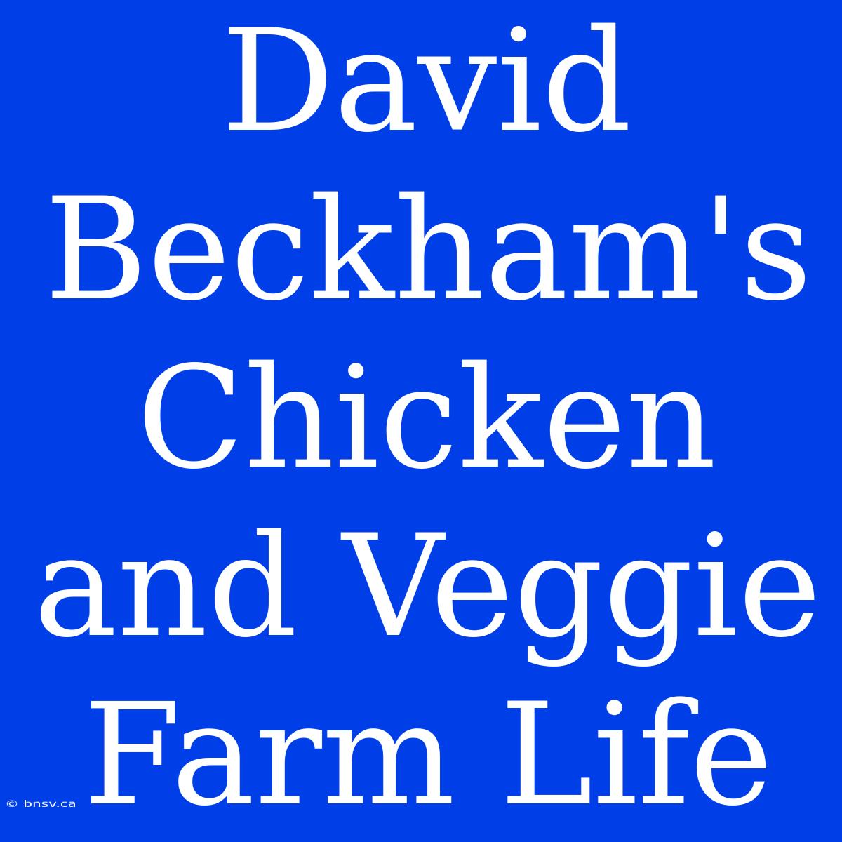 David Beckham's Chicken And Veggie Farm Life