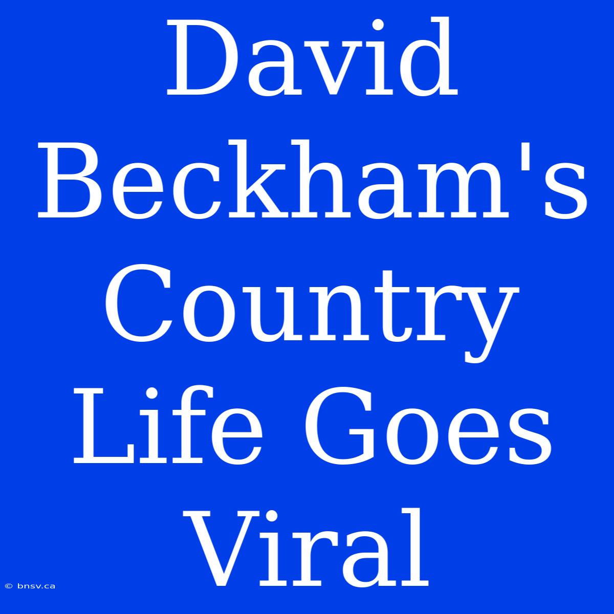 David Beckham's Country Life Goes Viral