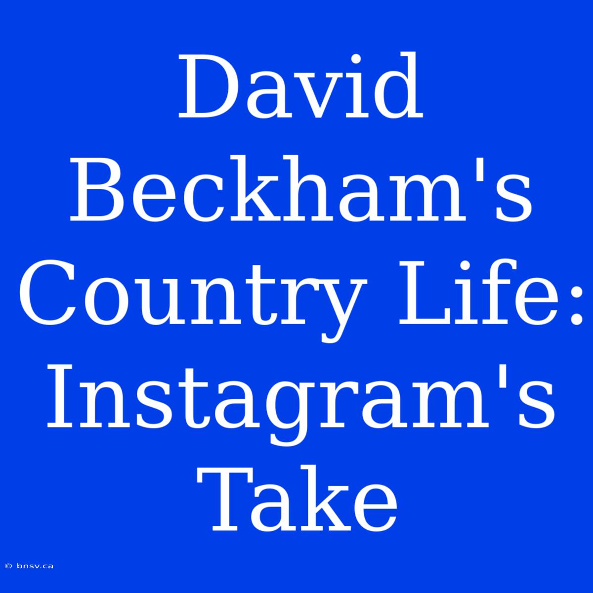 David Beckham's Country Life: Instagram's Take