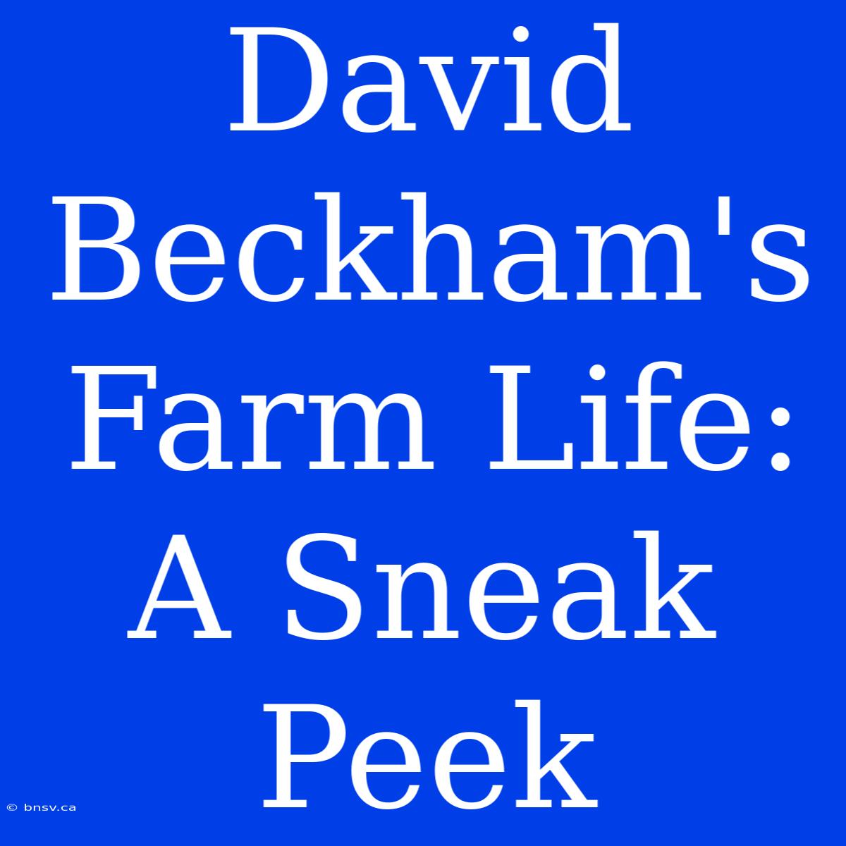 David Beckham's Farm Life: A Sneak Peek