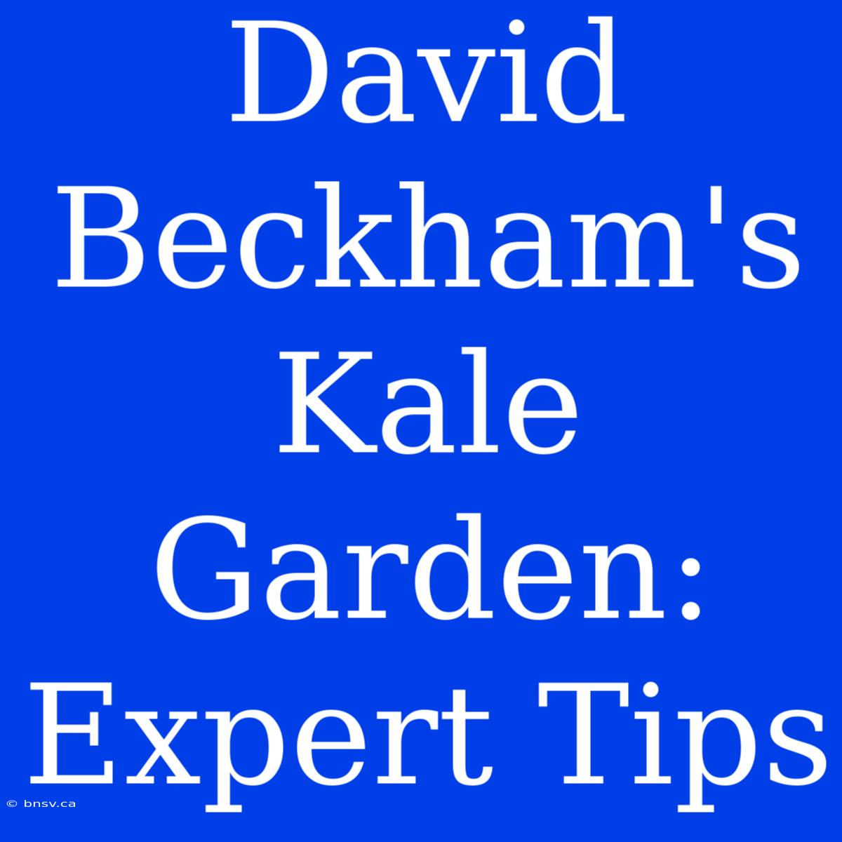 David Beckham's Kale Garden: Expert Tips