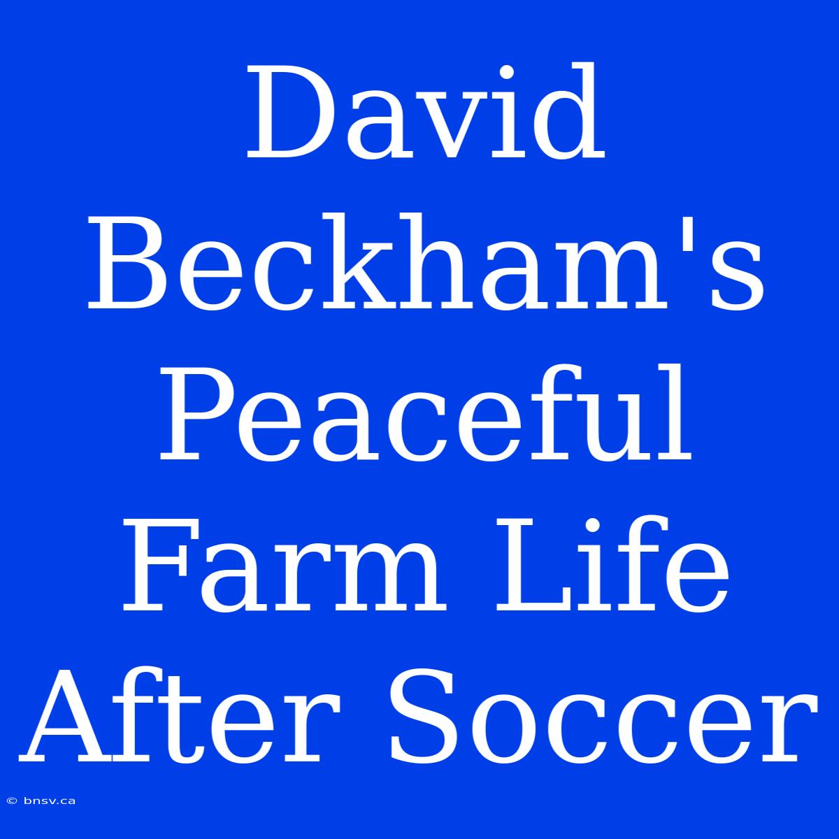 David Beckham's Peaceful Farm Life After Soccer