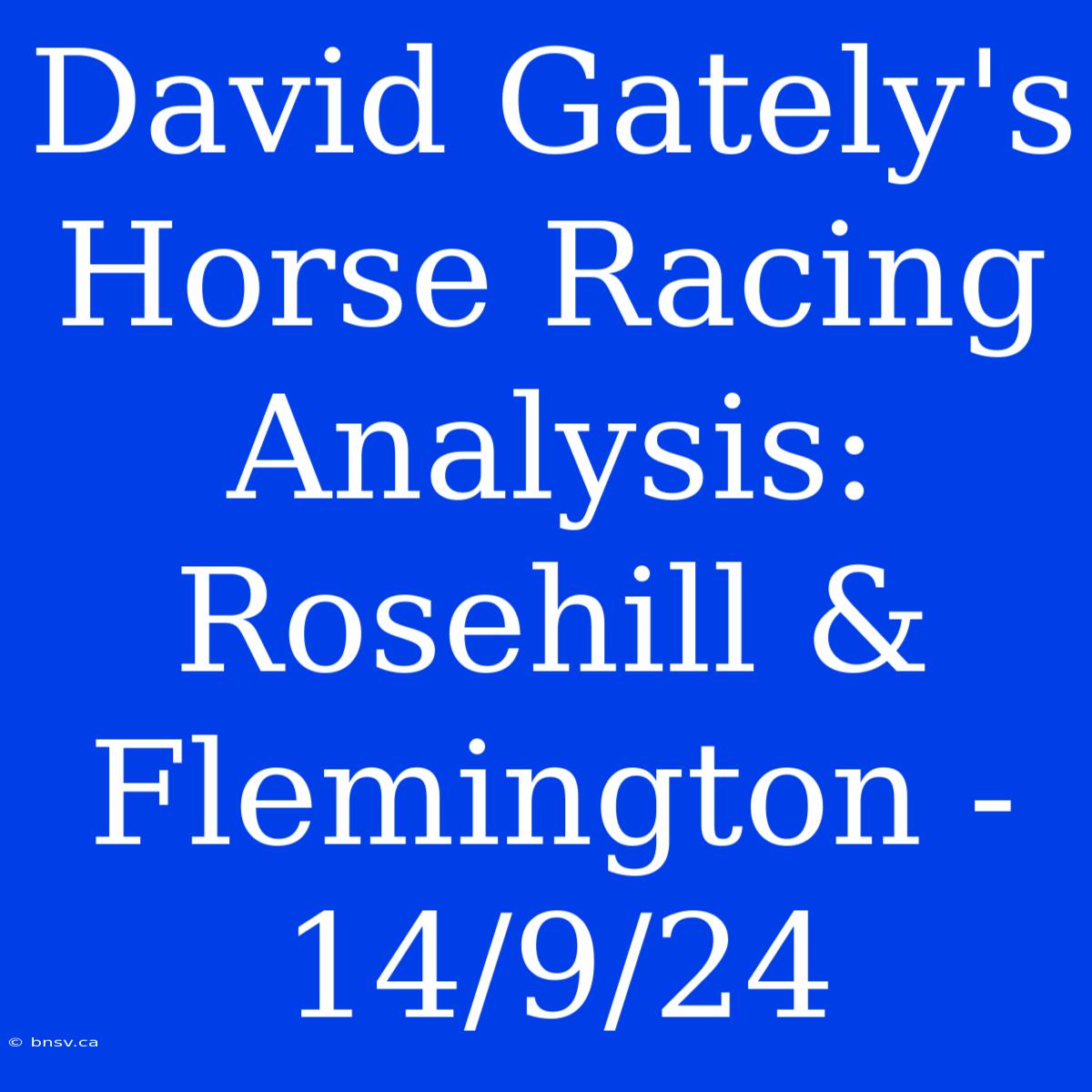 David Gately's Horse Racing Analysis: Rosehill & Flemington - 14/9/24