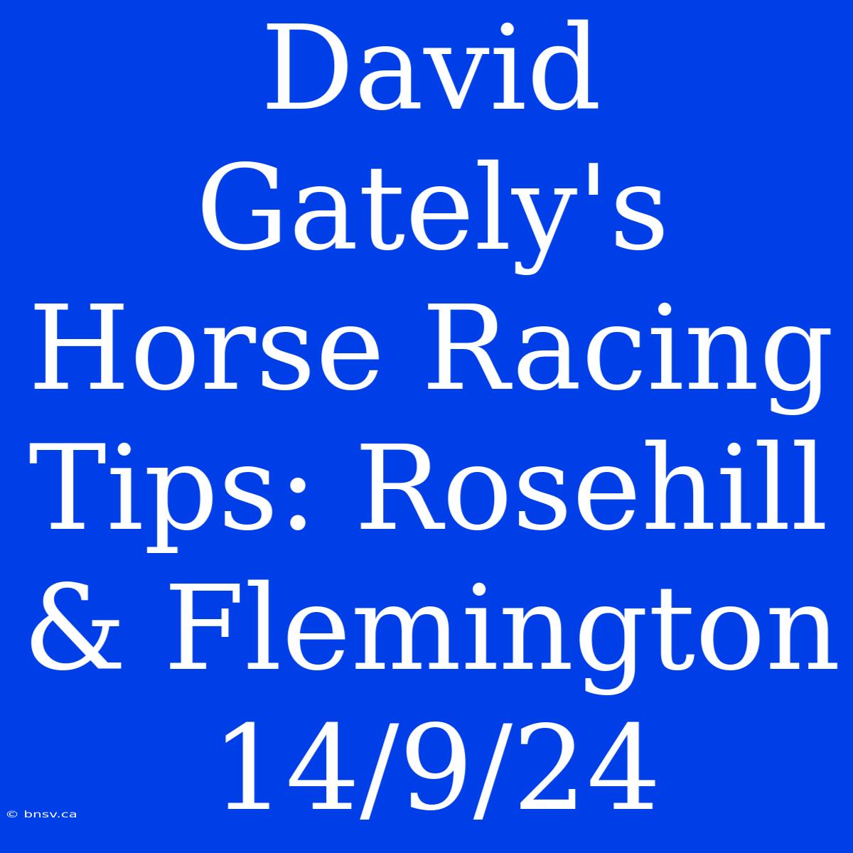 David Gately's Horse Racing Tips: Rosehill & Flemington 14/9/24