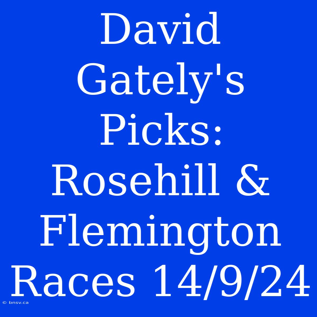 David Gately's Picks: Rosehill & Flemington Races 14/9/24