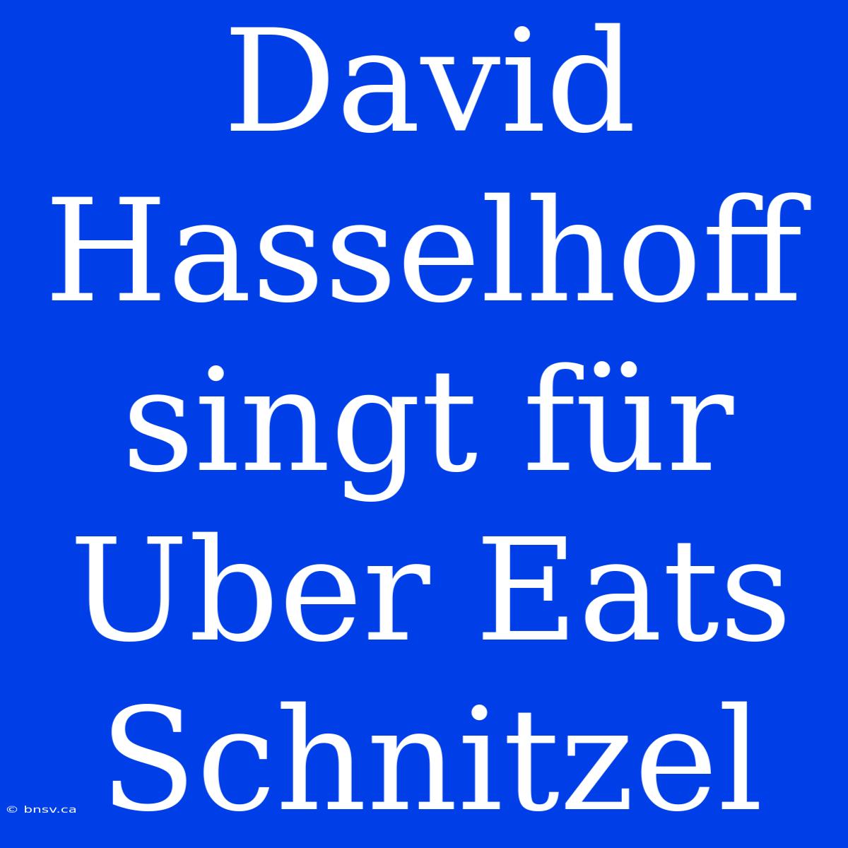 David Hasselhoff Singt Für Uber Eats Schnitzel