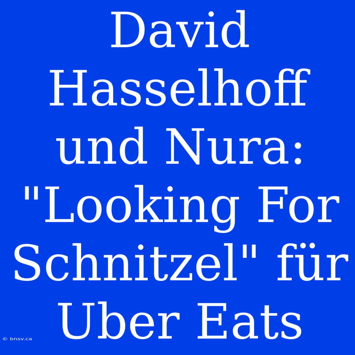 David Hasselhoff Und Nura: 