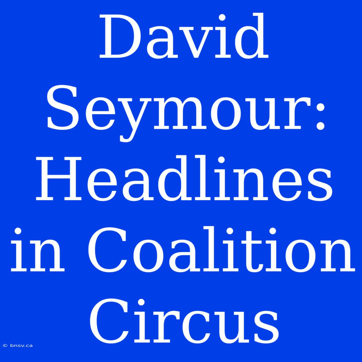 David Seymour: Headlines In Coalition Circus