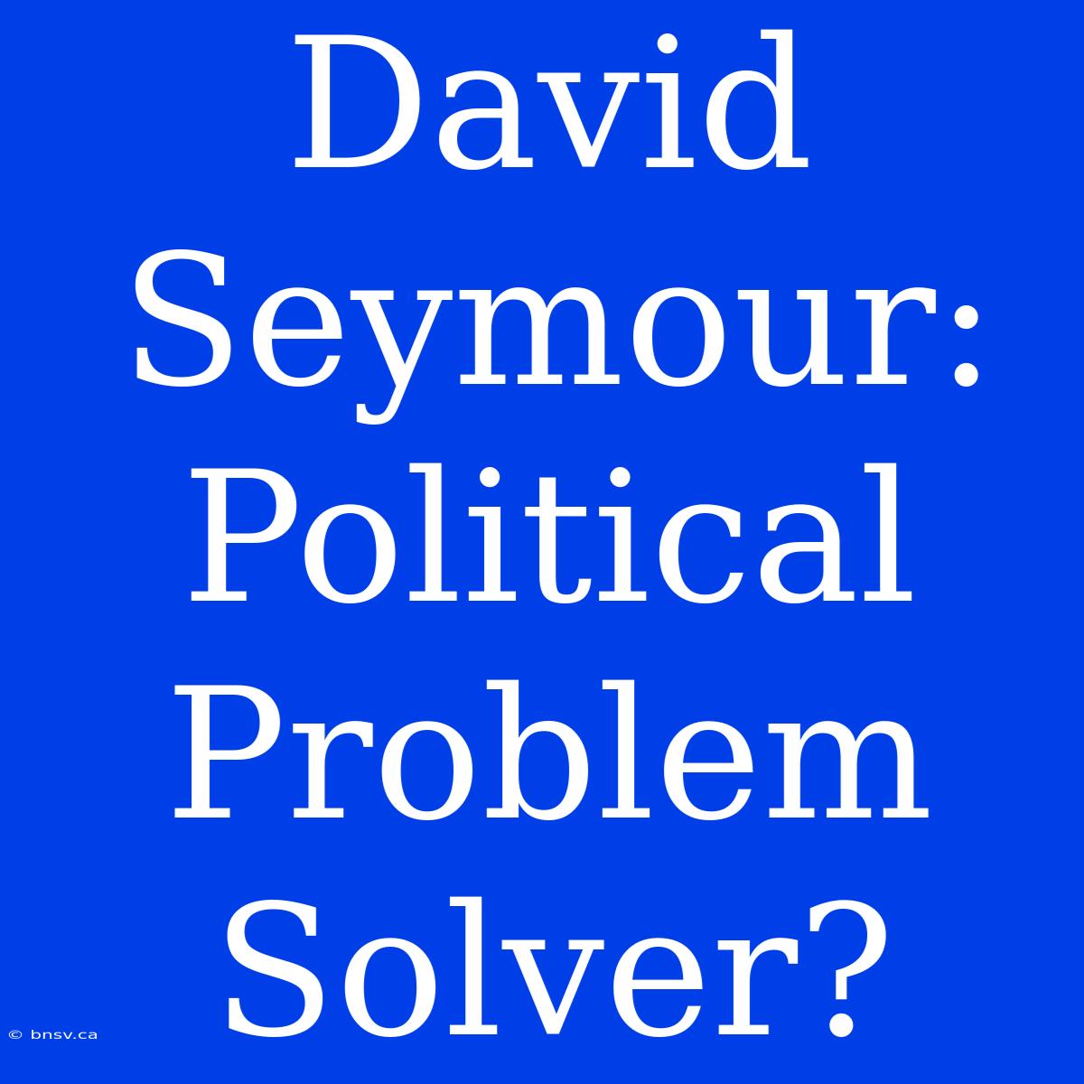 David Seymour: Political Problem Solver?