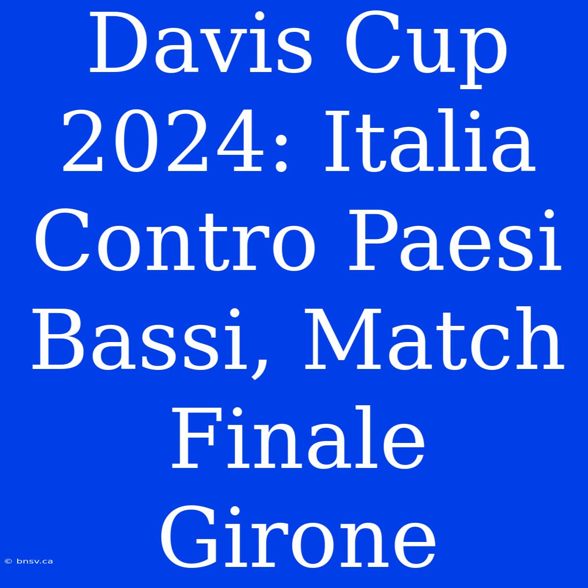 Davis Cup 2024: Italia Contro Paesi Bassi, Match Finale Girone