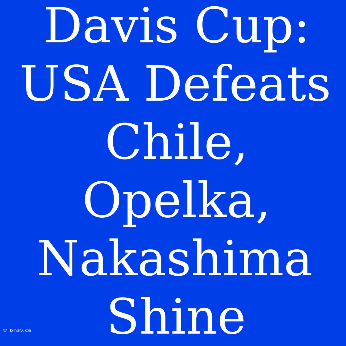 Davis Cup: USA Defeats Chile, Opelka, Nakashima Shine