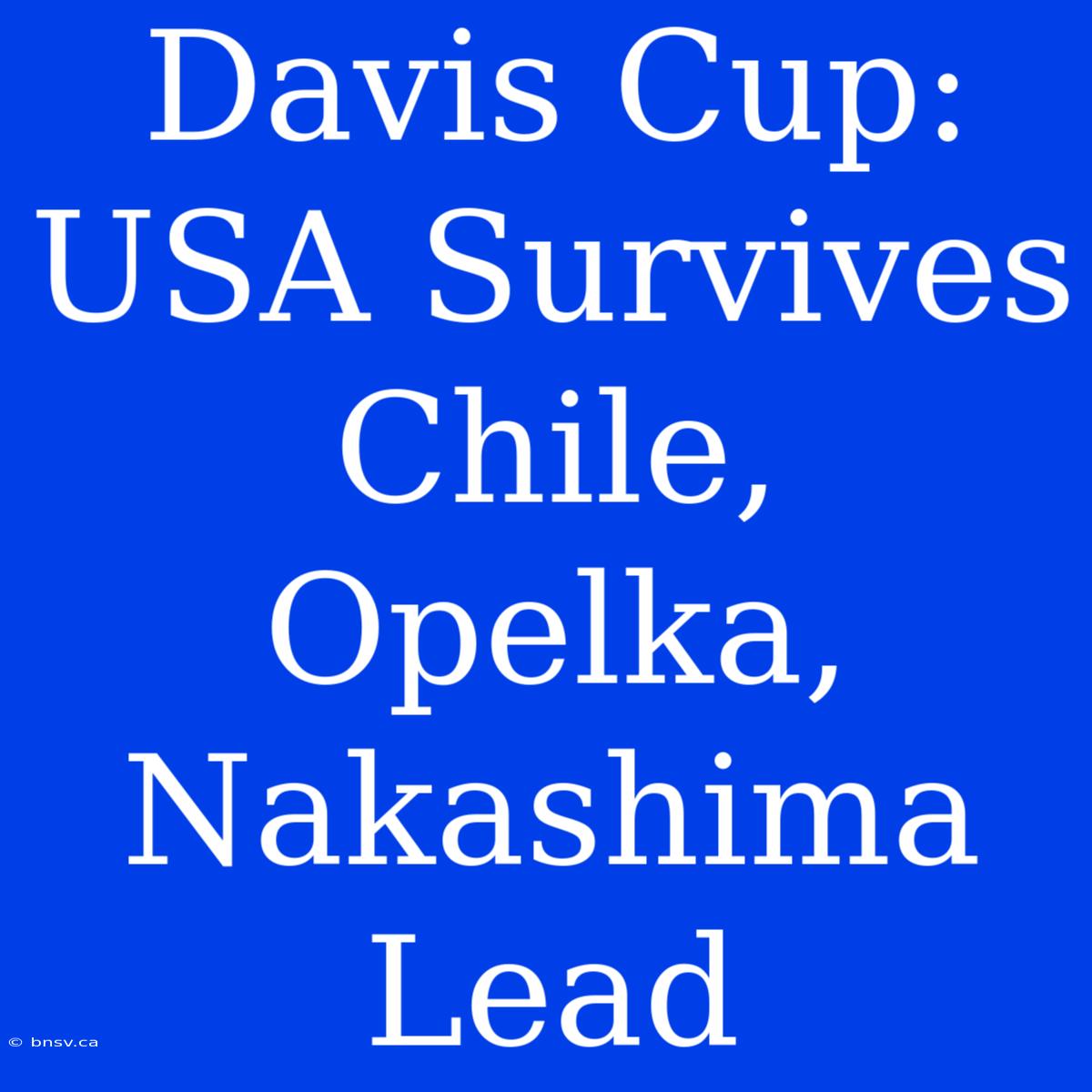 Davis Cup: USA Survives Chile, Opelka, Nakashima Lead