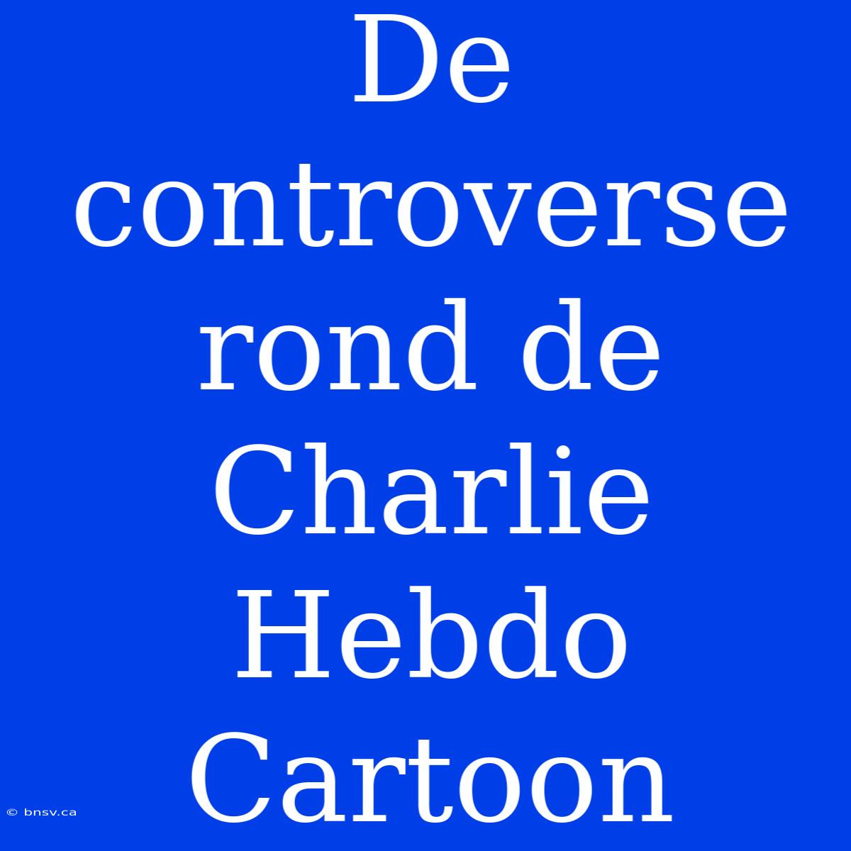 De Controverse Rond De Charlie Hebdo Cartoon