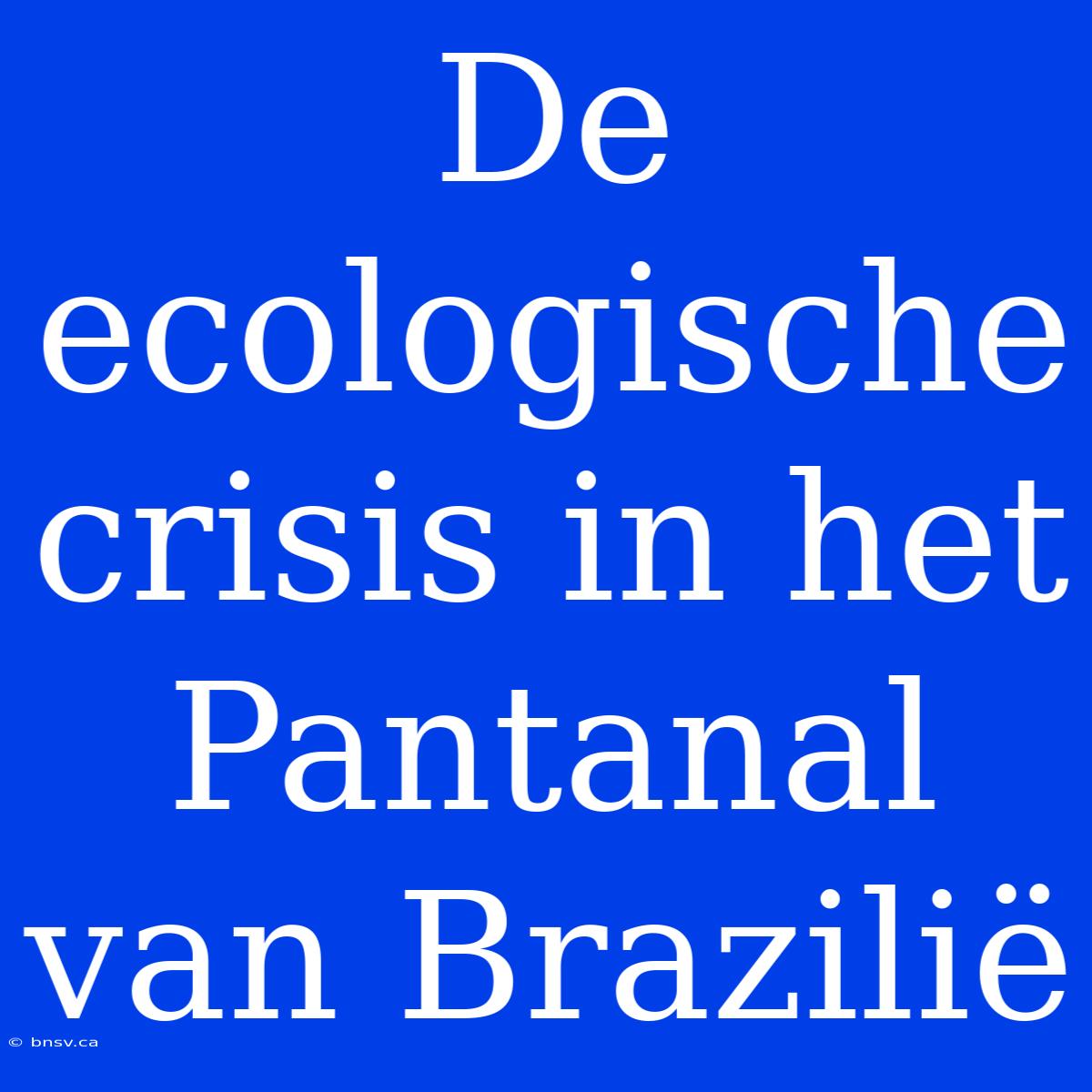 De Ecologische Crisis In Het Pantanal Van Brazilië