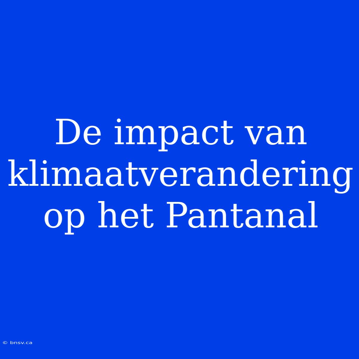 De Impact Van Klimaatverandering Op Het Pantanal