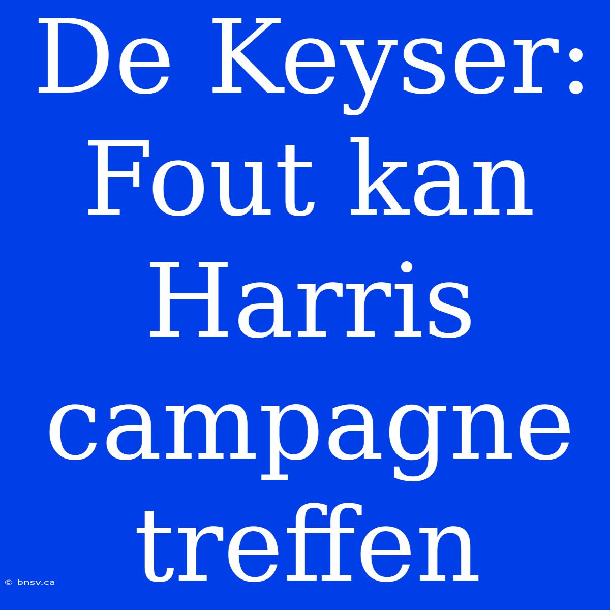 De Keyser: Fout Kan Harris Campagne Treffen