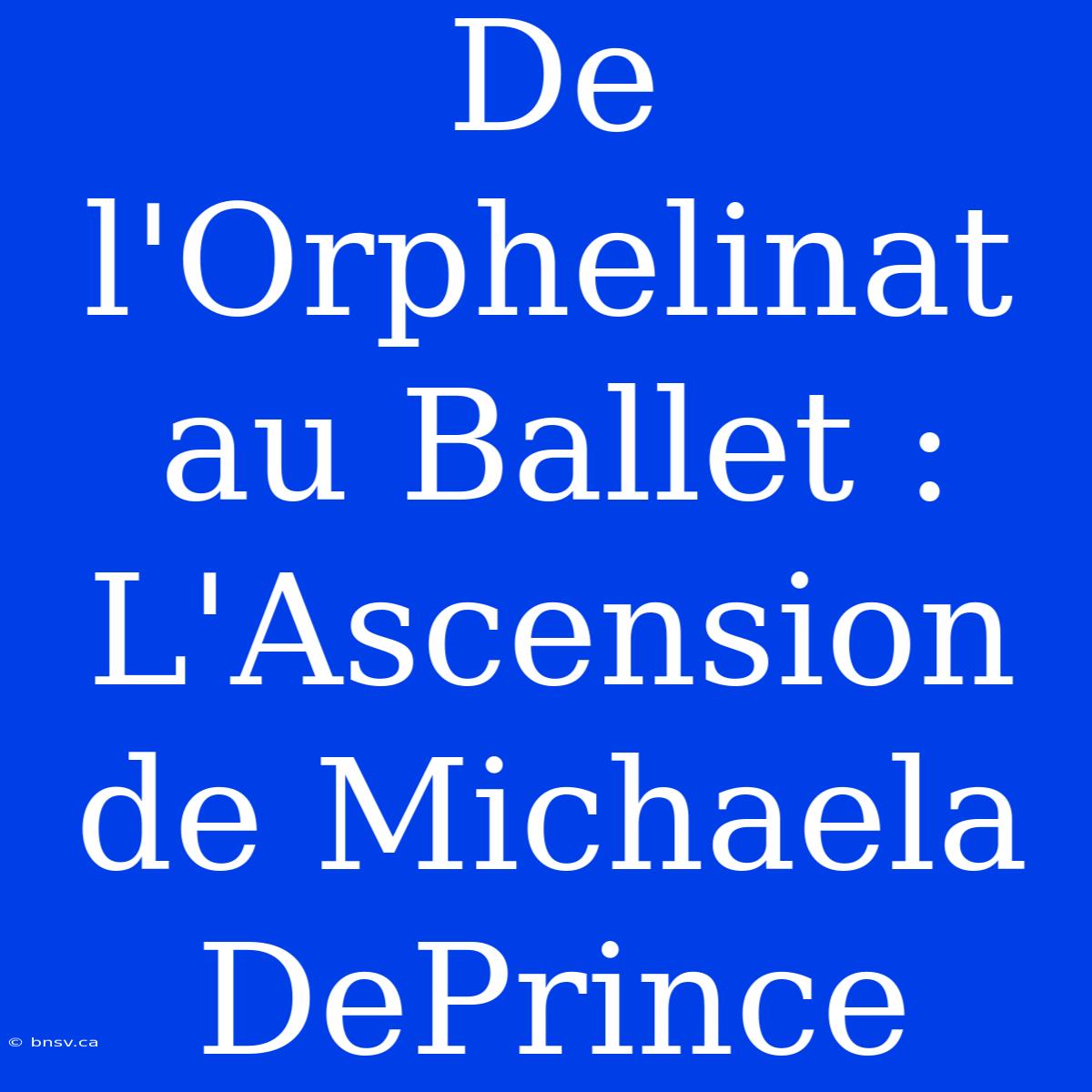 De L'Orphelinat Au Ballet : L'Ascension De Michaela DePrince