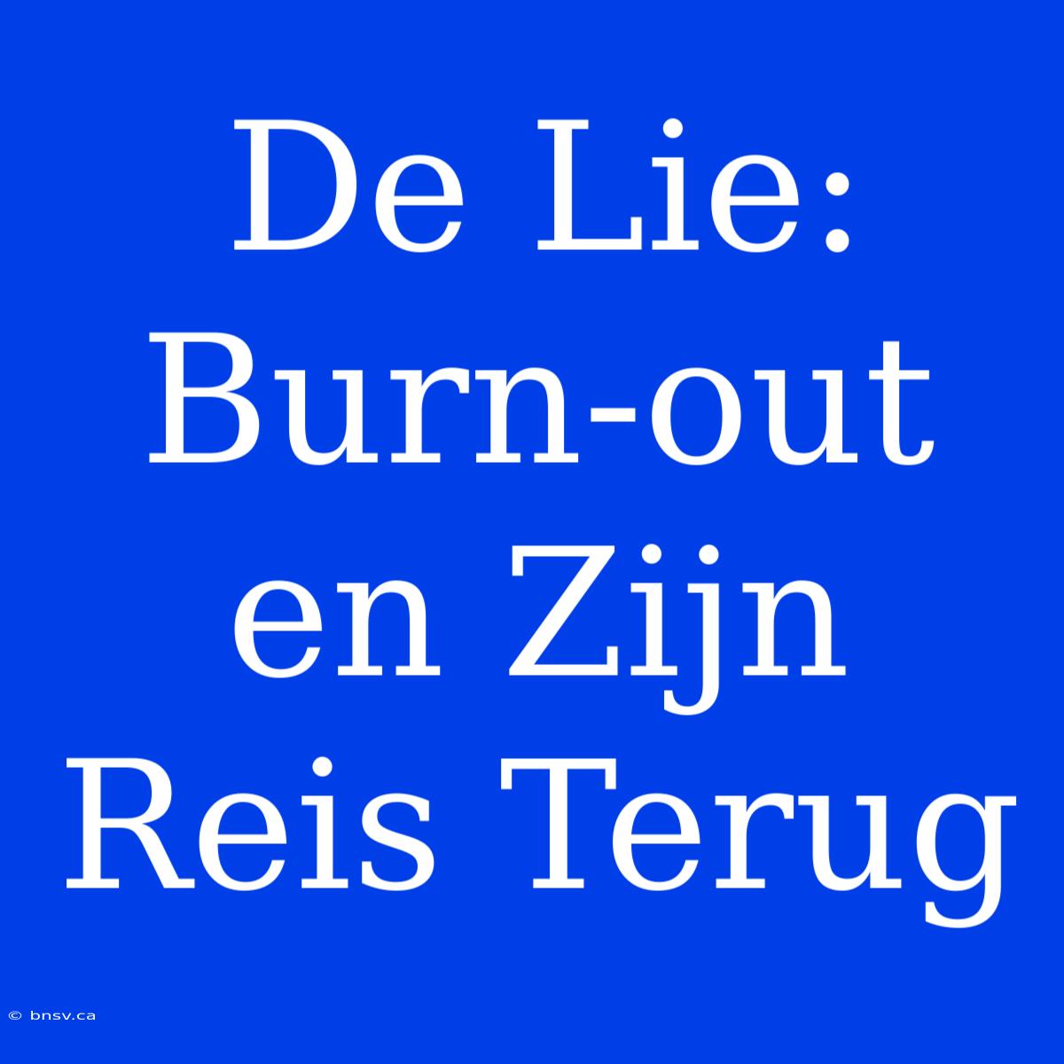 De Lie: Burn-out En Zijn Reis Terug