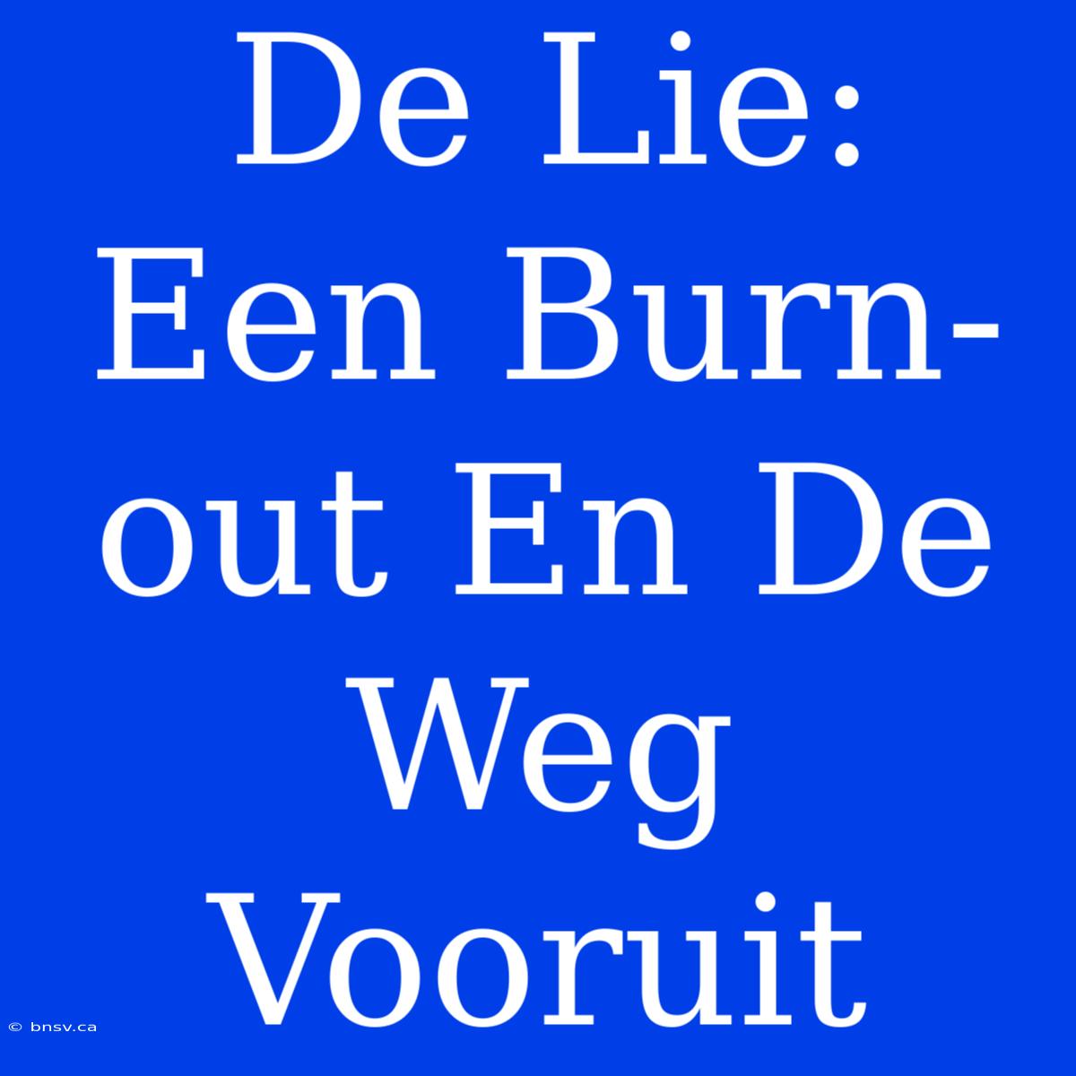 De Lie: Een Burn-out En De Weg Vooruit