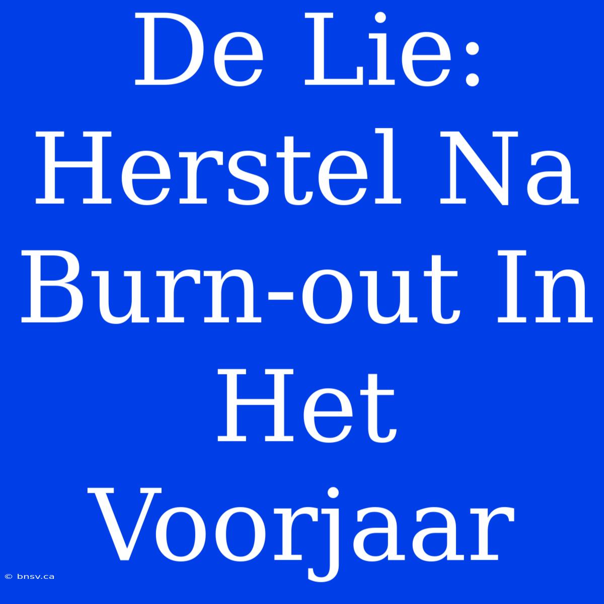 De Lie: Herstel Na Burn-out In Het Voorjaar