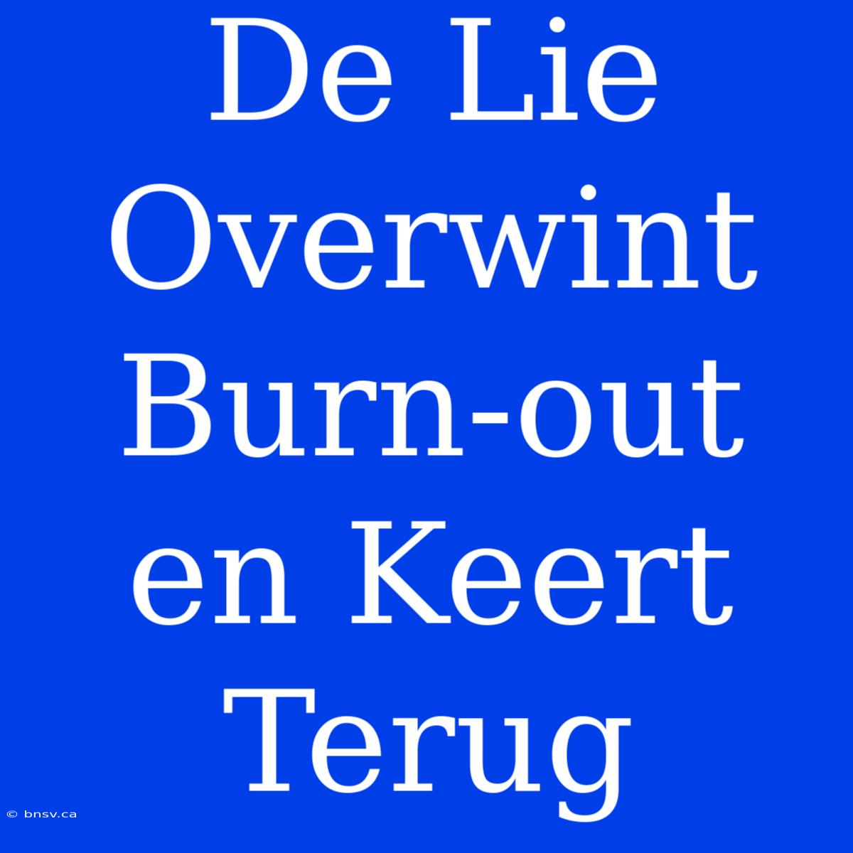 De Lie Overwint Burn-out En Keert Terug